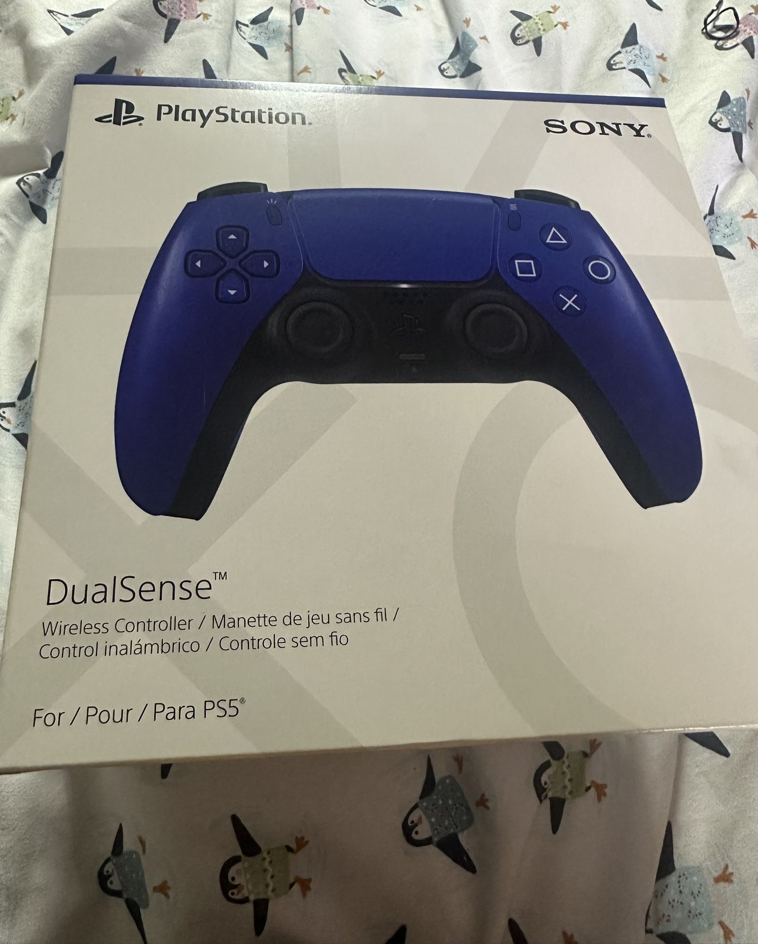PS 5 Controller
