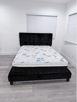 Bed frame queen size new