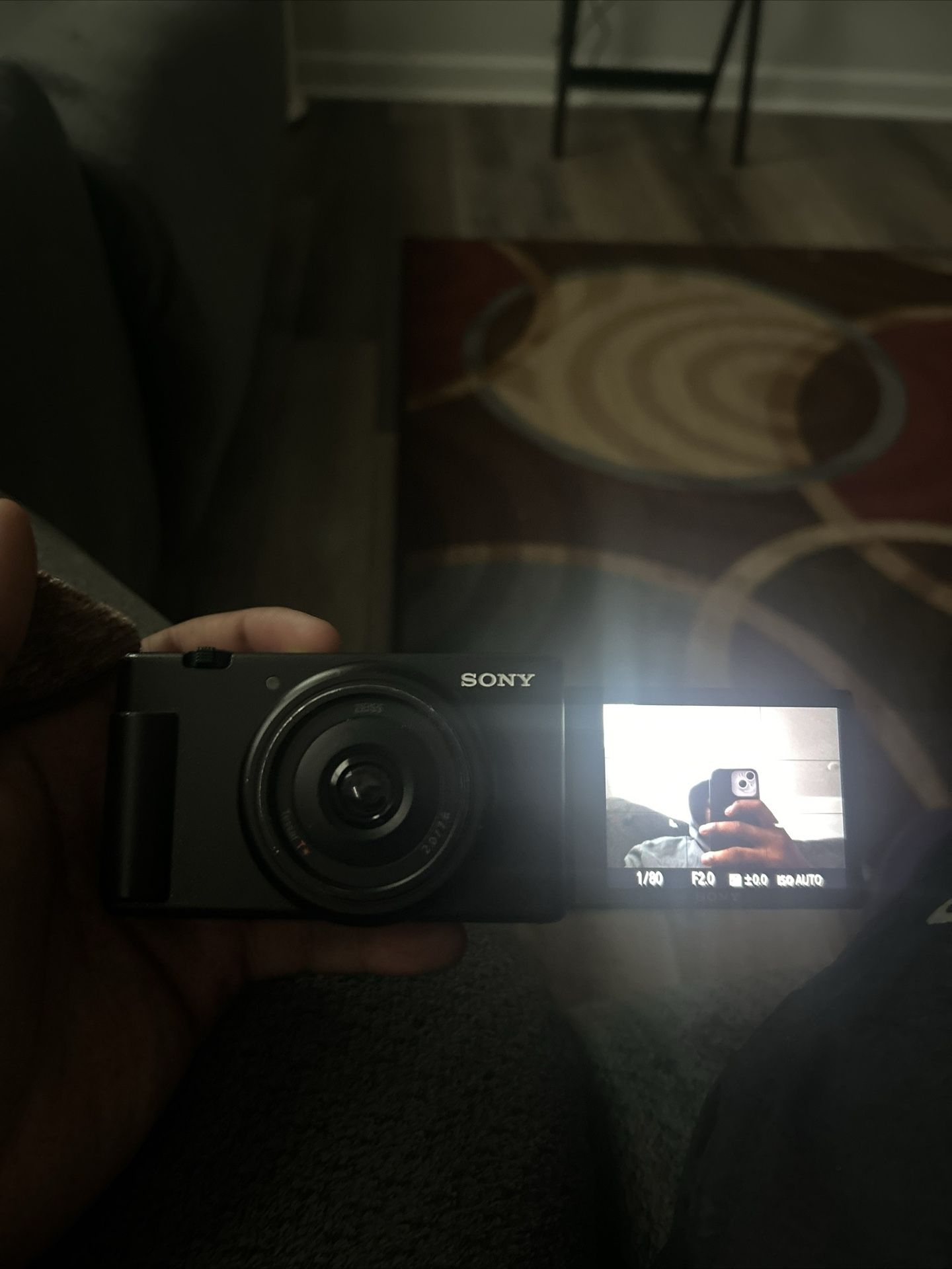 Sony ZVF1