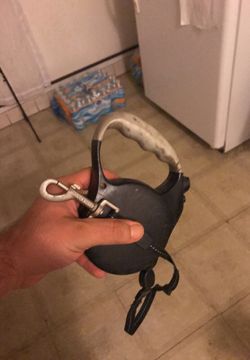 Retractable leash