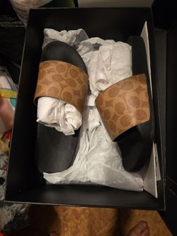 Slides