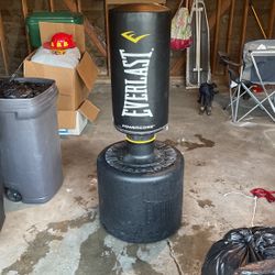 Punching Bag