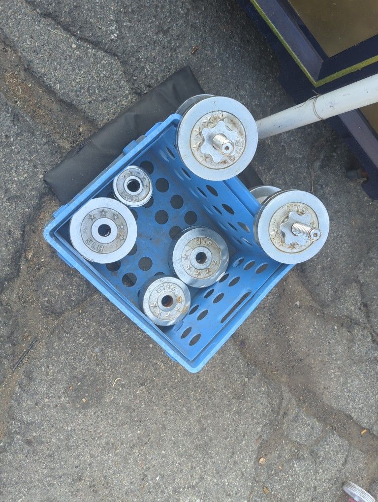 Chrome Weight's