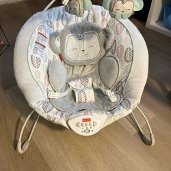 Fisherprice Baby Seat 