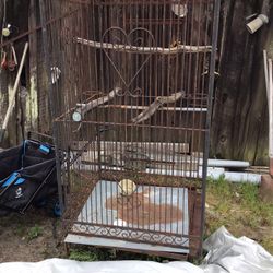 Wrought Iron Bird Cage