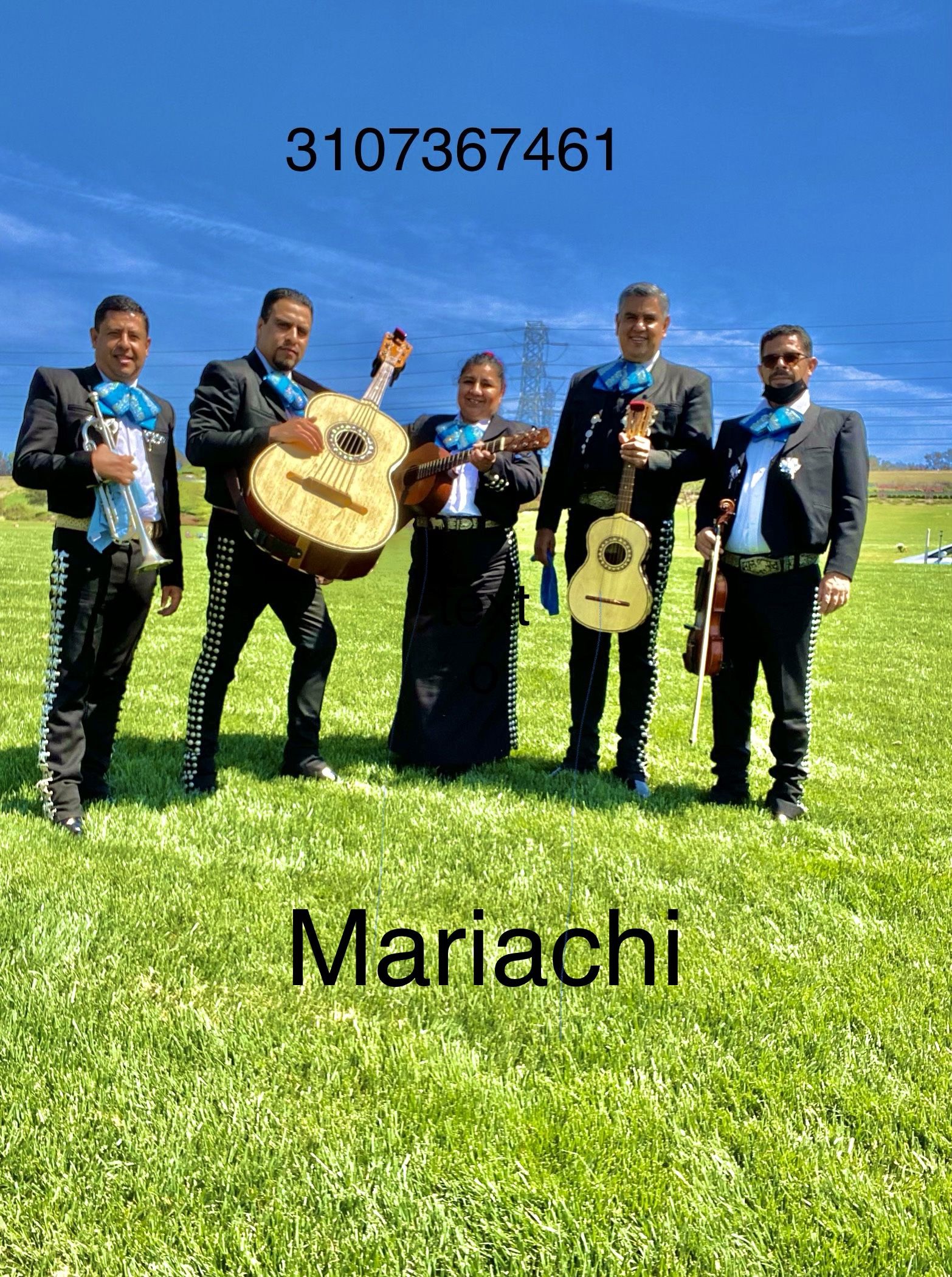 Guitarrón Arpa De Mariachi 