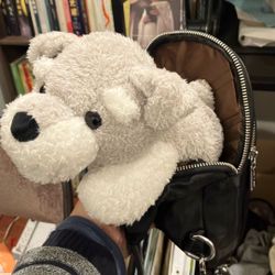 Black Crossbody Sling Bag (puppy Included)