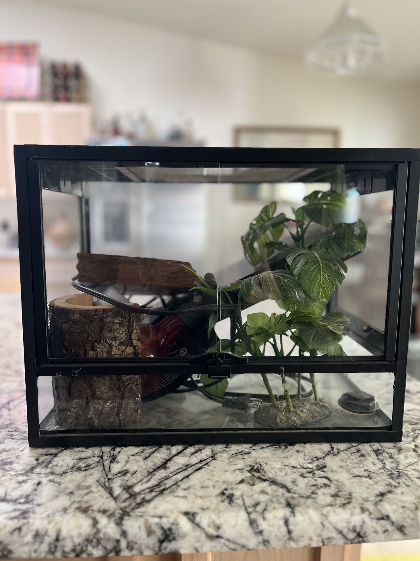 Reptile/Amphibian Cage With Accessories