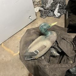 2 Bags Of Duck Decoys 