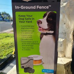 In Ground Dog Fence