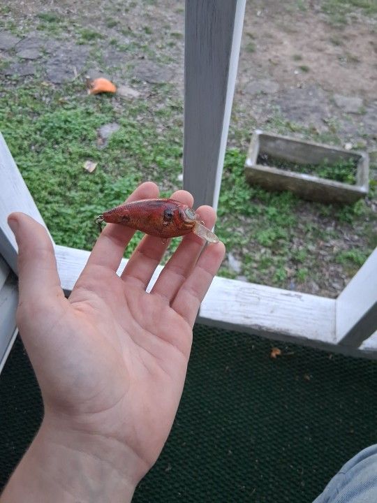 Crank Bait I Coght This Bass With It