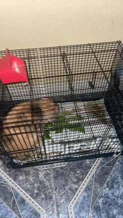 Vendo jaula para conejo