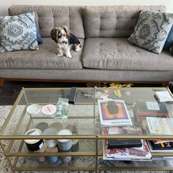 Sofa + Coffee table (pup not included)