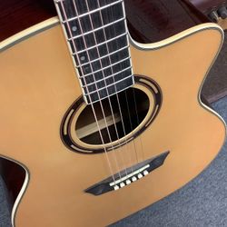 Washburn Acoustic/Electric Guitar