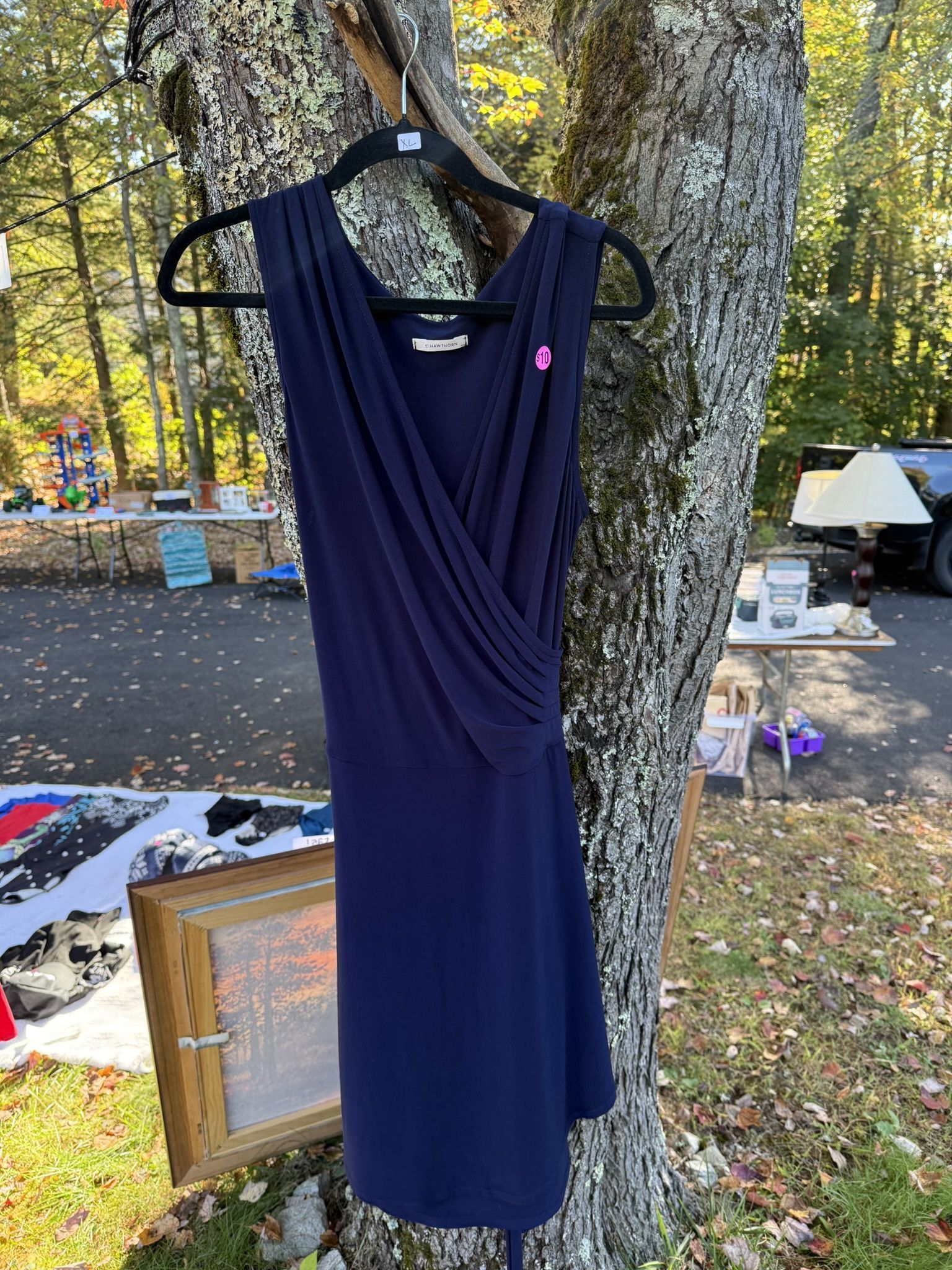 Navy blue Women’s Dress
