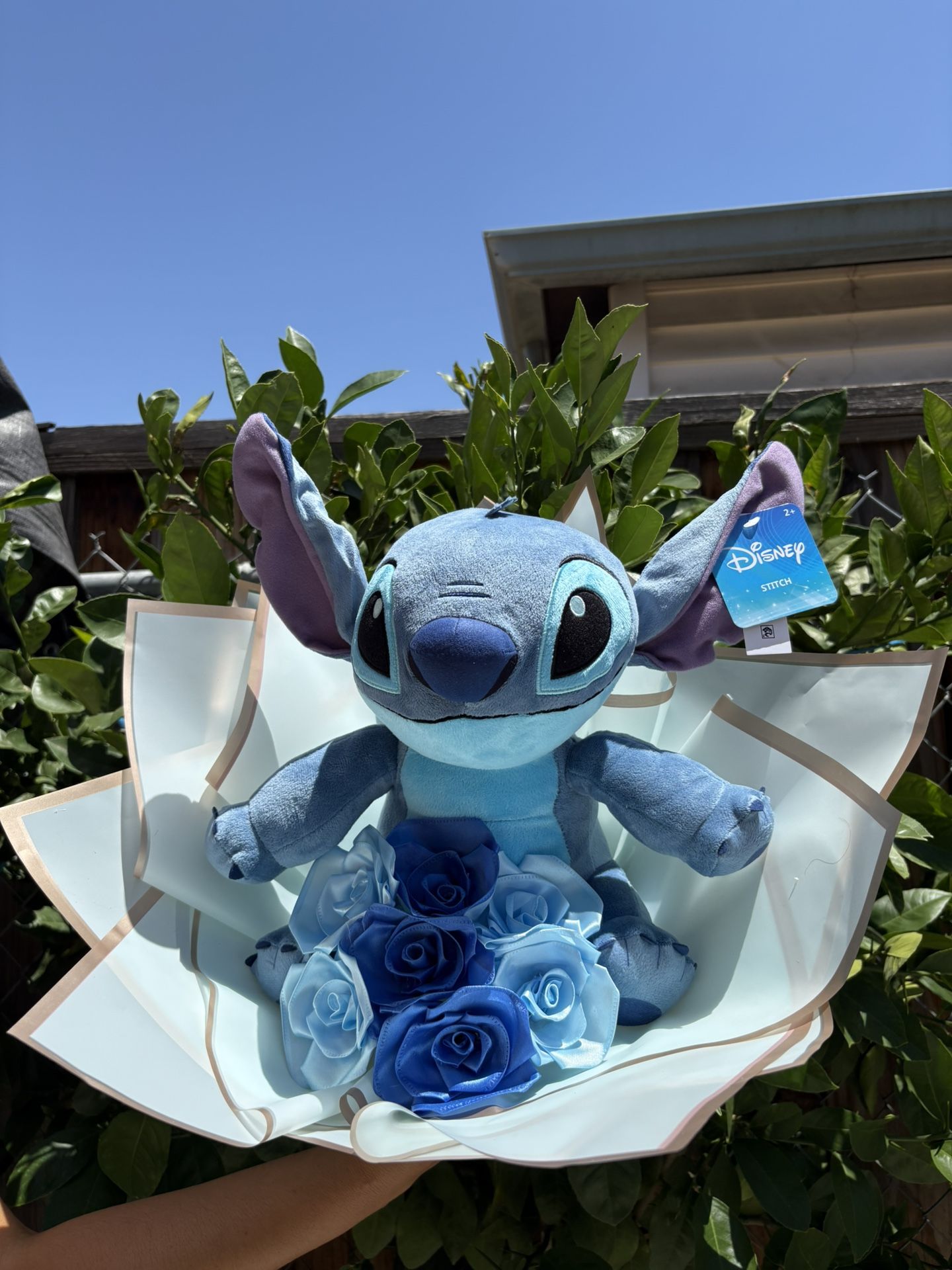 stitch Boqute