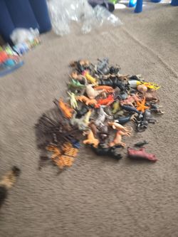 Safari animals