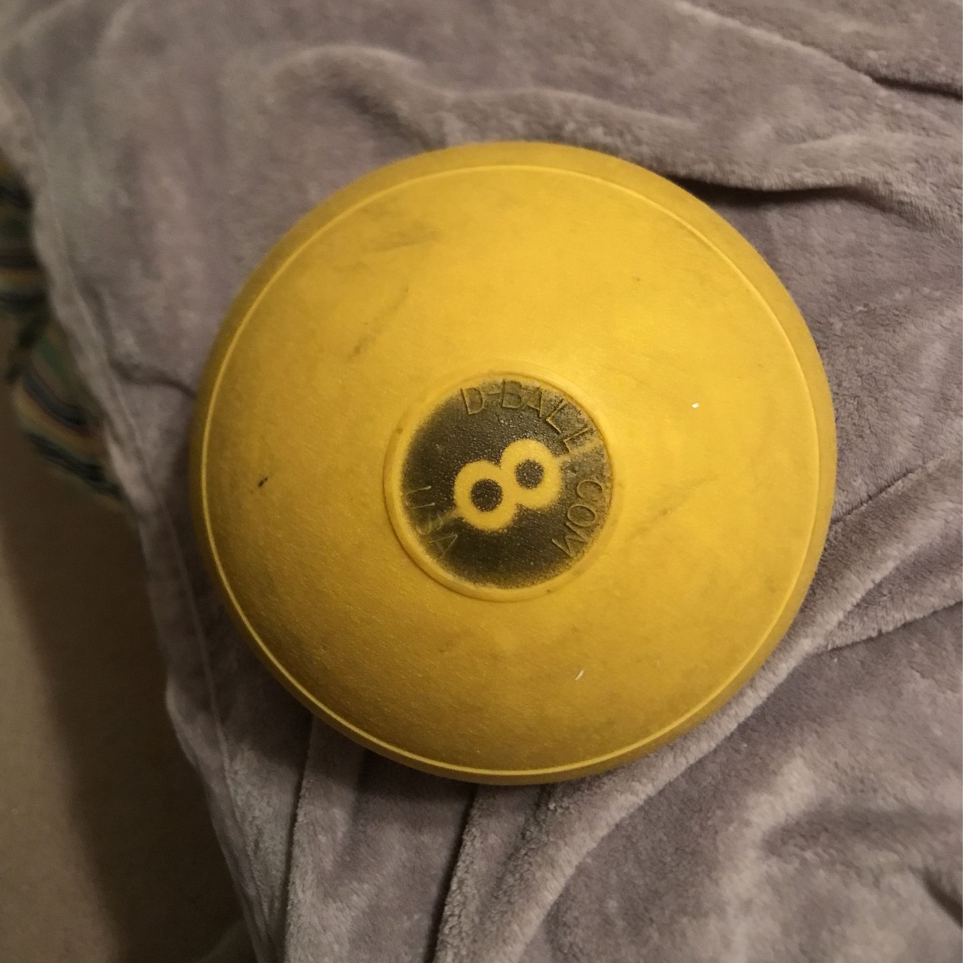 Workout Ball 8 Lb