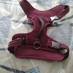 Reddy Dog Harness 