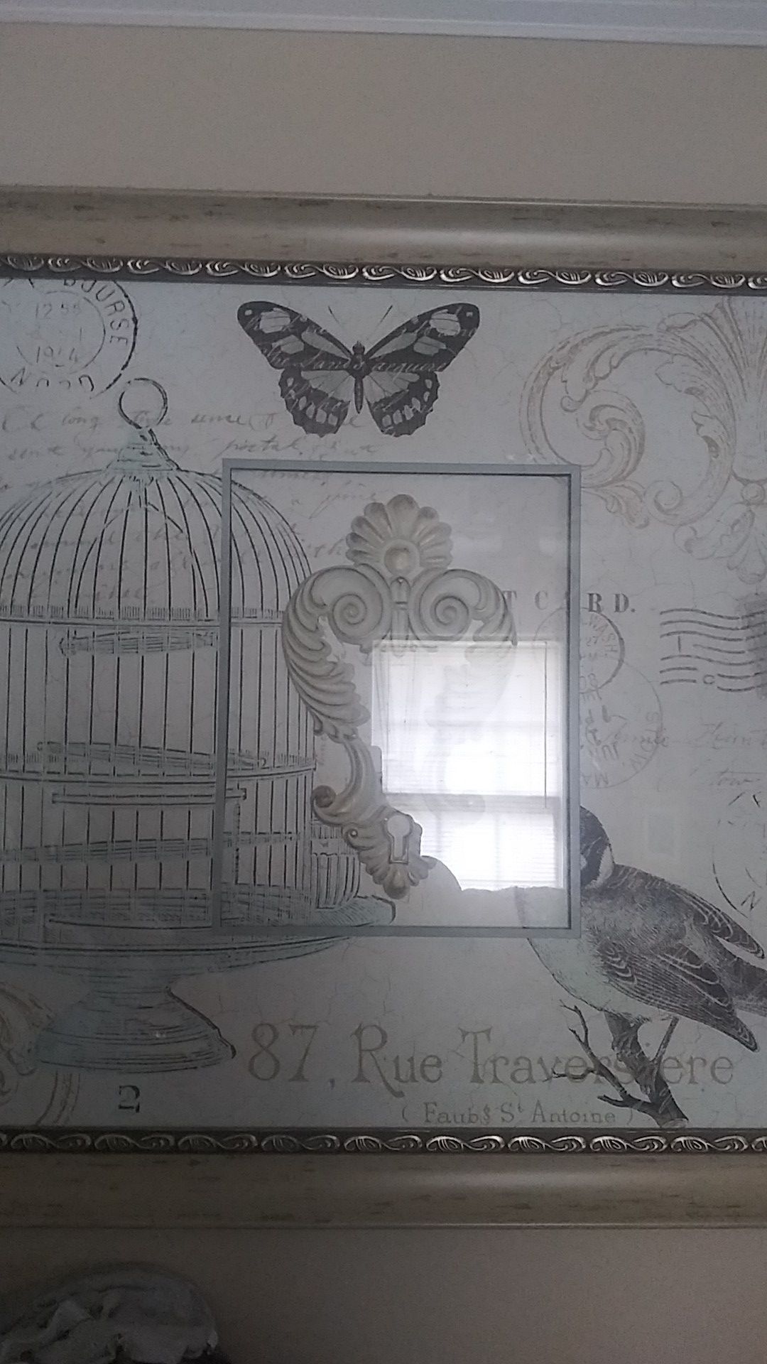 Bird Cage Picture Glass Framing/ 87, RueTracerstere. (Faub S. Antine