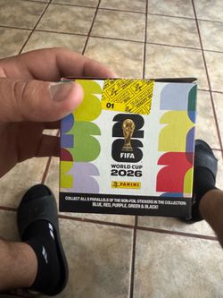 Panini libro official sticker collection