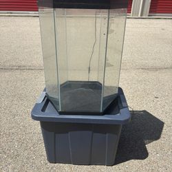 20 Gallon Aquarium 