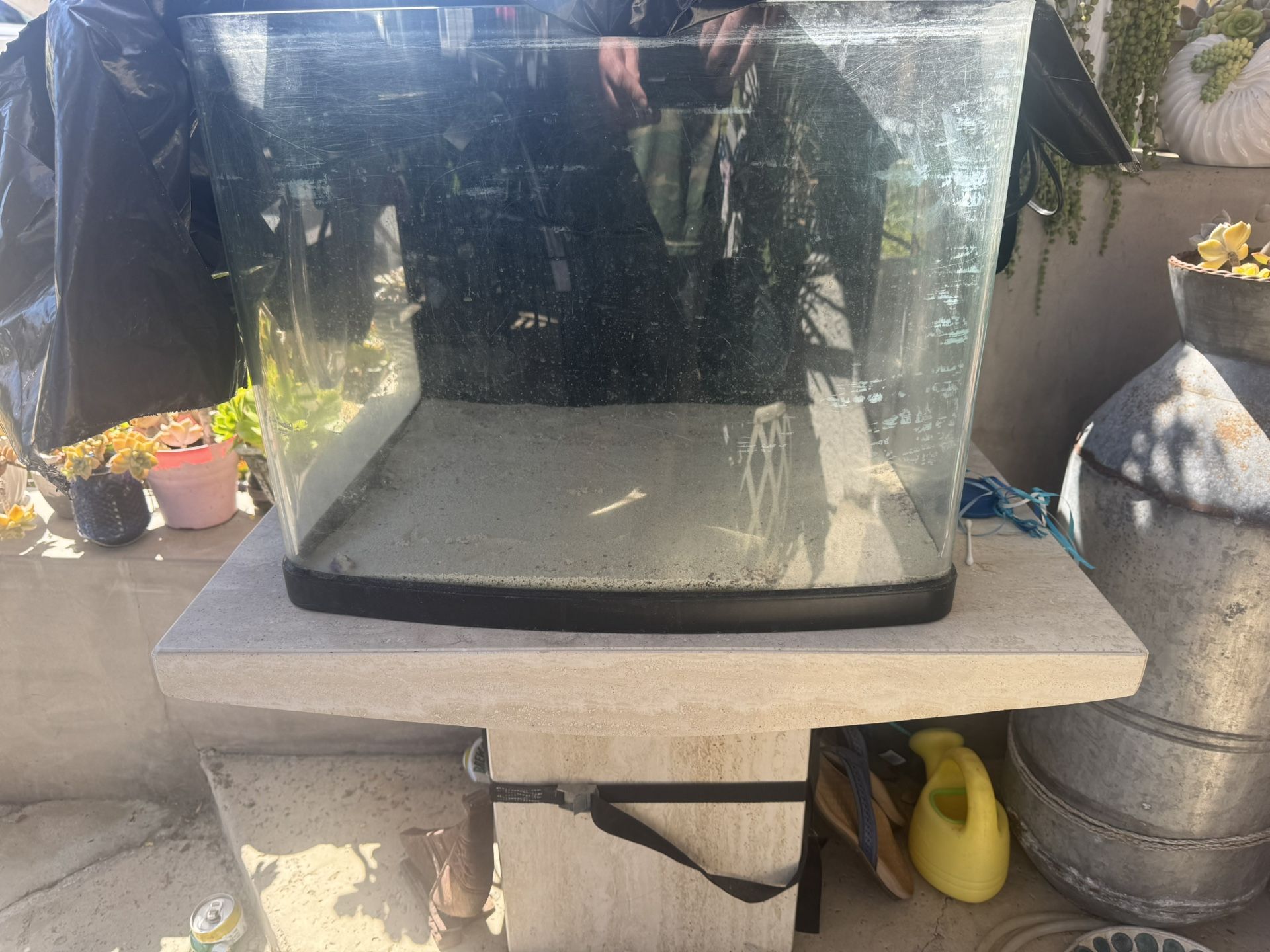 Fish tank and live rock.