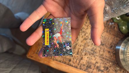 Panini World Cup Sticker