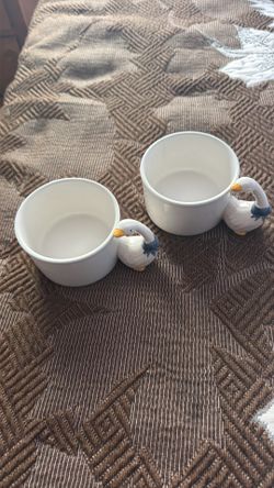 Cups