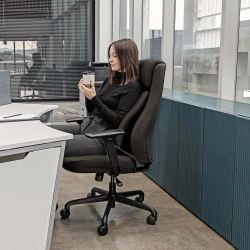 Posturelift Ergonomic Office Chair. Patented Lumbar Support for Posture and Lower Back Pain. Comfortable Vegan Leather, Home Computer Executive Desk C