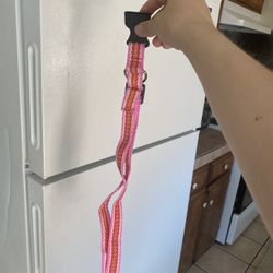 Brand New Dog Collar