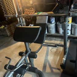 Gold's Gym XRS 20 Adjustable Olympic Workout Bench with Squat Rack, Leg Extension, Preacher Curl, and Weight Storage