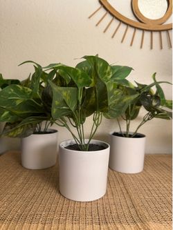 Faux Plants