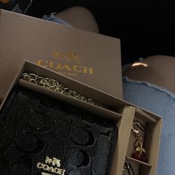 Mini Coach Wallet On Chain