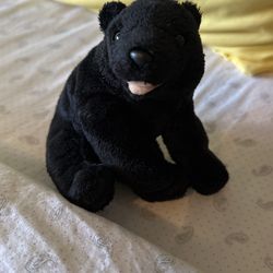 Black Teddy Best 