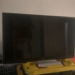 Vizio TV/Monitor