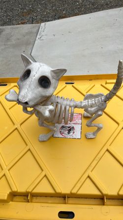 Halloween Skeleton Dog