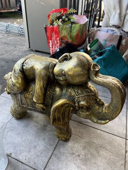 Elephant With A Bady