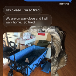 XXXX Latge folding cart