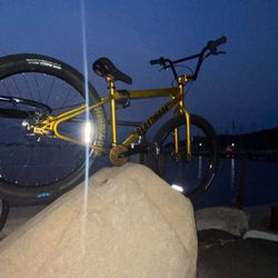 Beast mode SE Bike