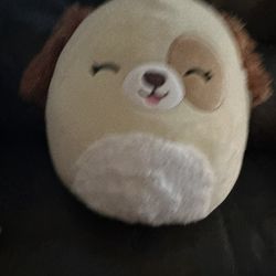 Squishmallow “Harris” Dog 