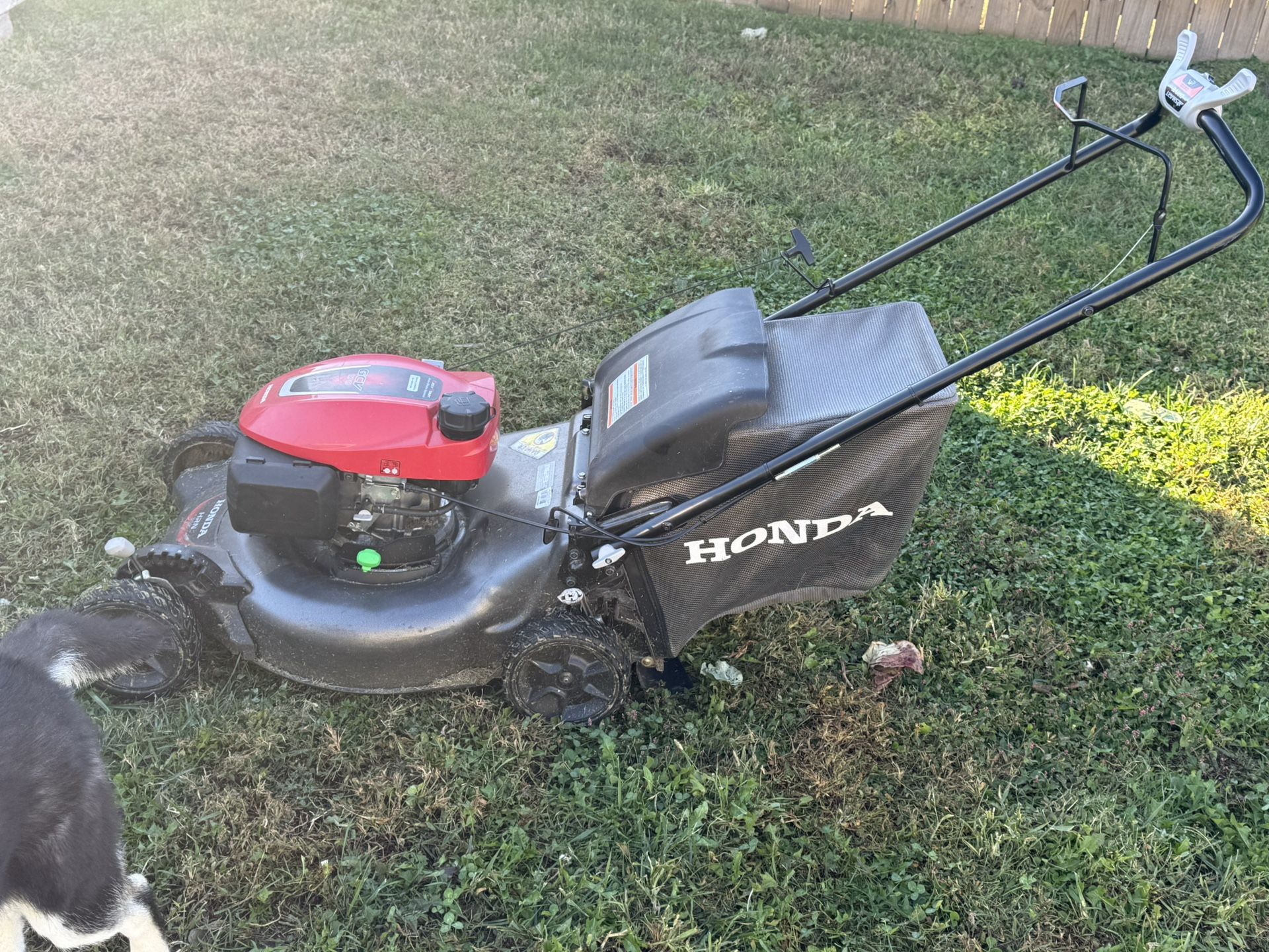 Honda GCV 170 Self-propelled Lawn Mower