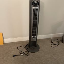 Fan