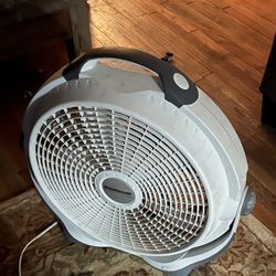 Fan