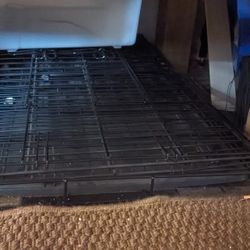 Collapsible Dog Crate
