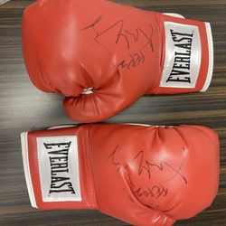 Signed Boxing Gloves 