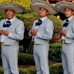 Violin Trompeta Mariachi