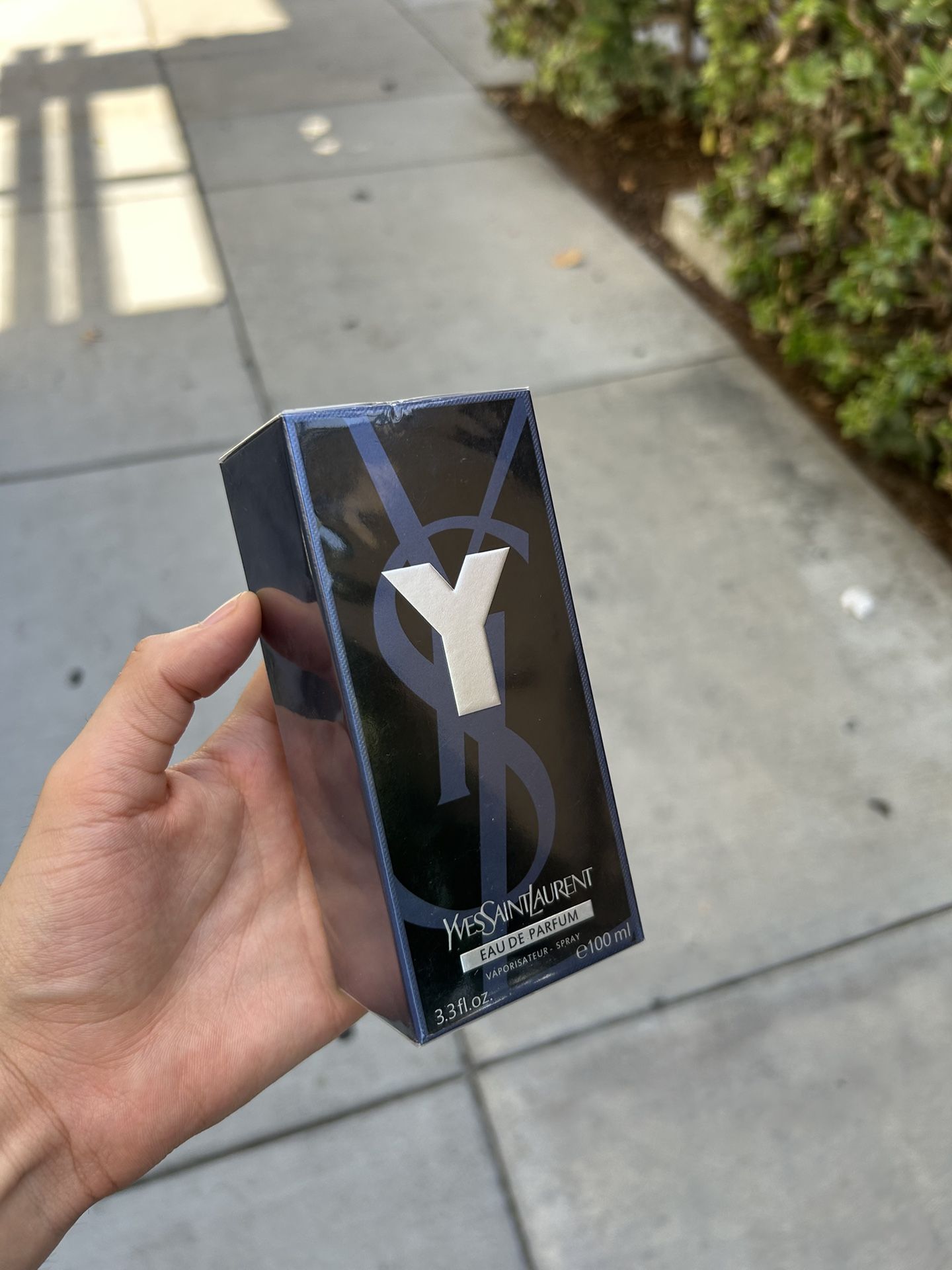 YSL Cologne