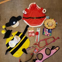 Small Dog Outfits And Accessories