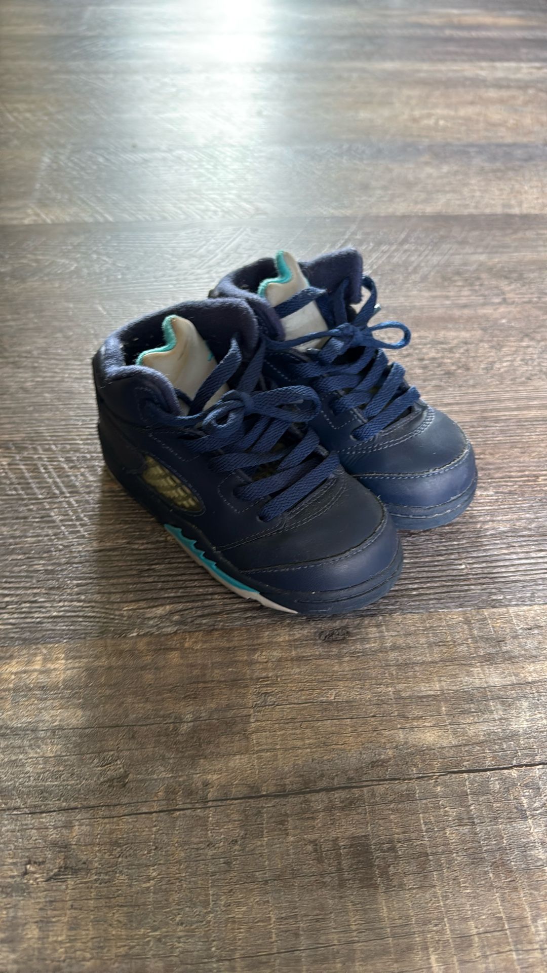 Air Jordan 5 Retro BT ‘Pre-Grape’